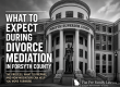 Forsyth County Georgia divorce mediation graphic explaining what to expect during mediation involving parenting plans, property division, and contested divorce negotiations.
